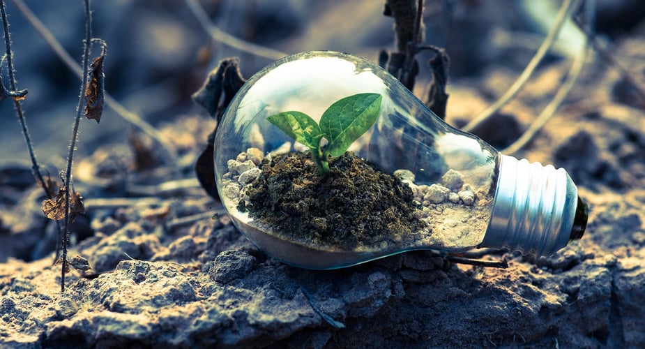 What Is Sustainable Growth and What Does That Look Like for Your Business?