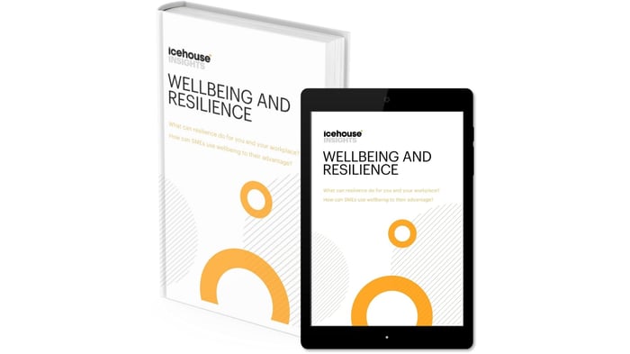 Icehouse Insights_Wellbeing and Resilience 