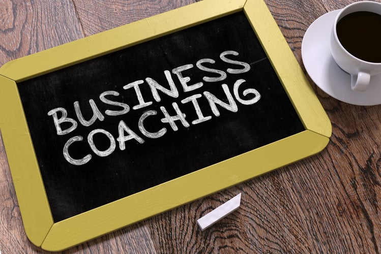 What SMEs Should Expect from Business Coaches and Advisors