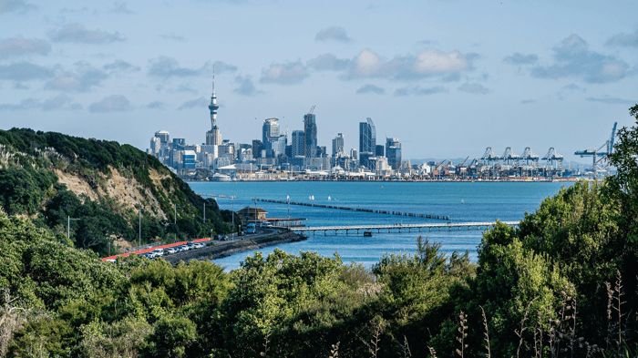 New Zealand City Scape